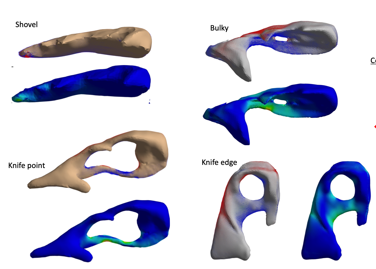 FEA models